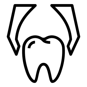 Extraction service image